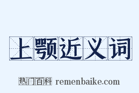 上颚近义词是什么意思的图片